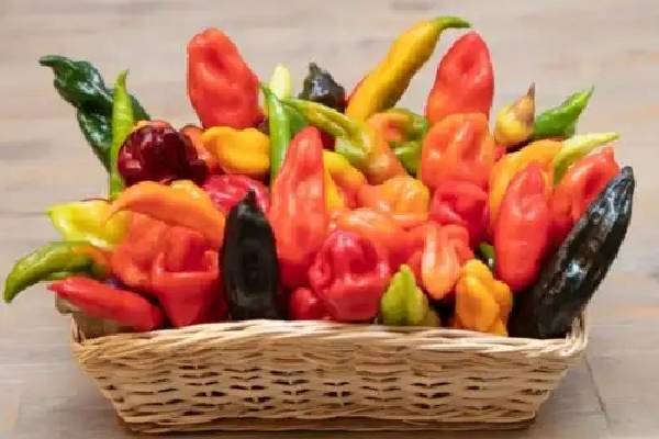 food-tour-lima-ajies