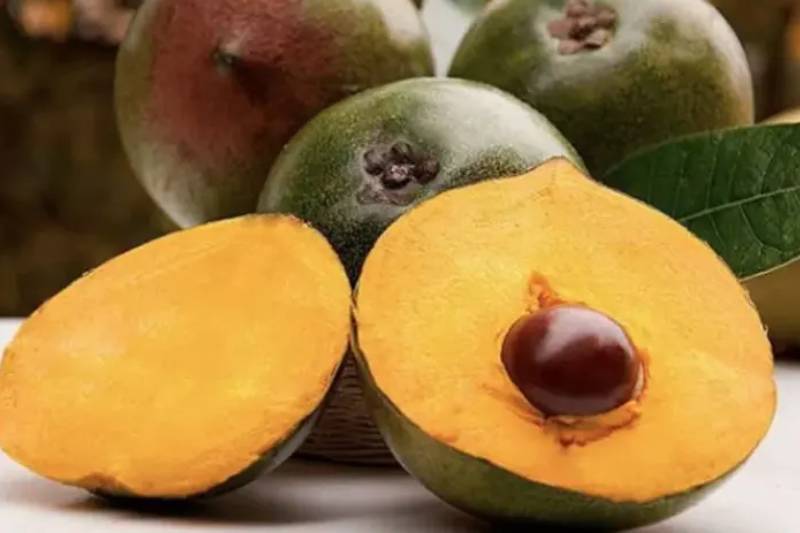 la-comida-peruana-que-se-come-en-lima-lucuma